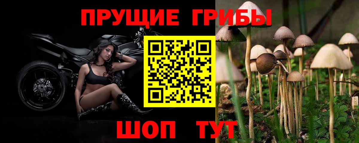 Новый Уренгой  Псилоцибиновые грибы Magic Shrooms  Псилоцибиновые грибы мицелий  Вход с VPN 